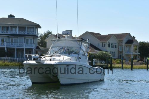 World Cat 270EC scheda tecnica e recensioni